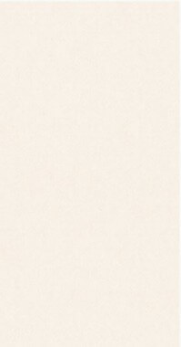 Плитка керамическая 60x30 матовая Dama BELMAR