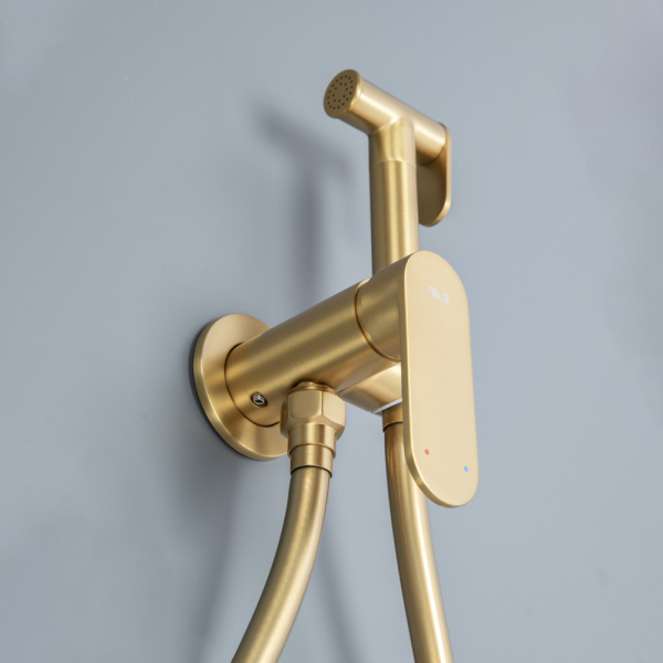 Гигиенический душ со смесителем AVS Beauty брашированное золото