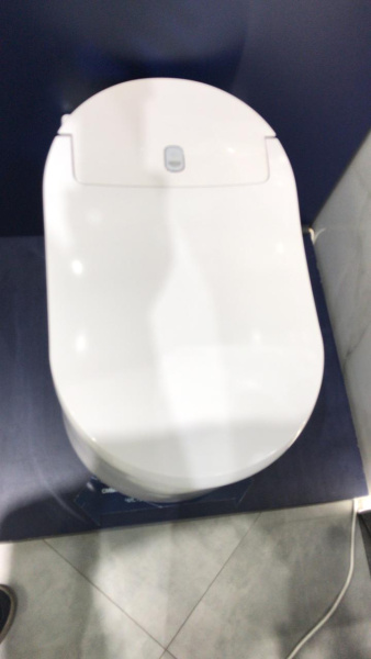 120172 монтажная сист в компл с унитазом, SENSIA ARENA+ клав хром 4 в 1